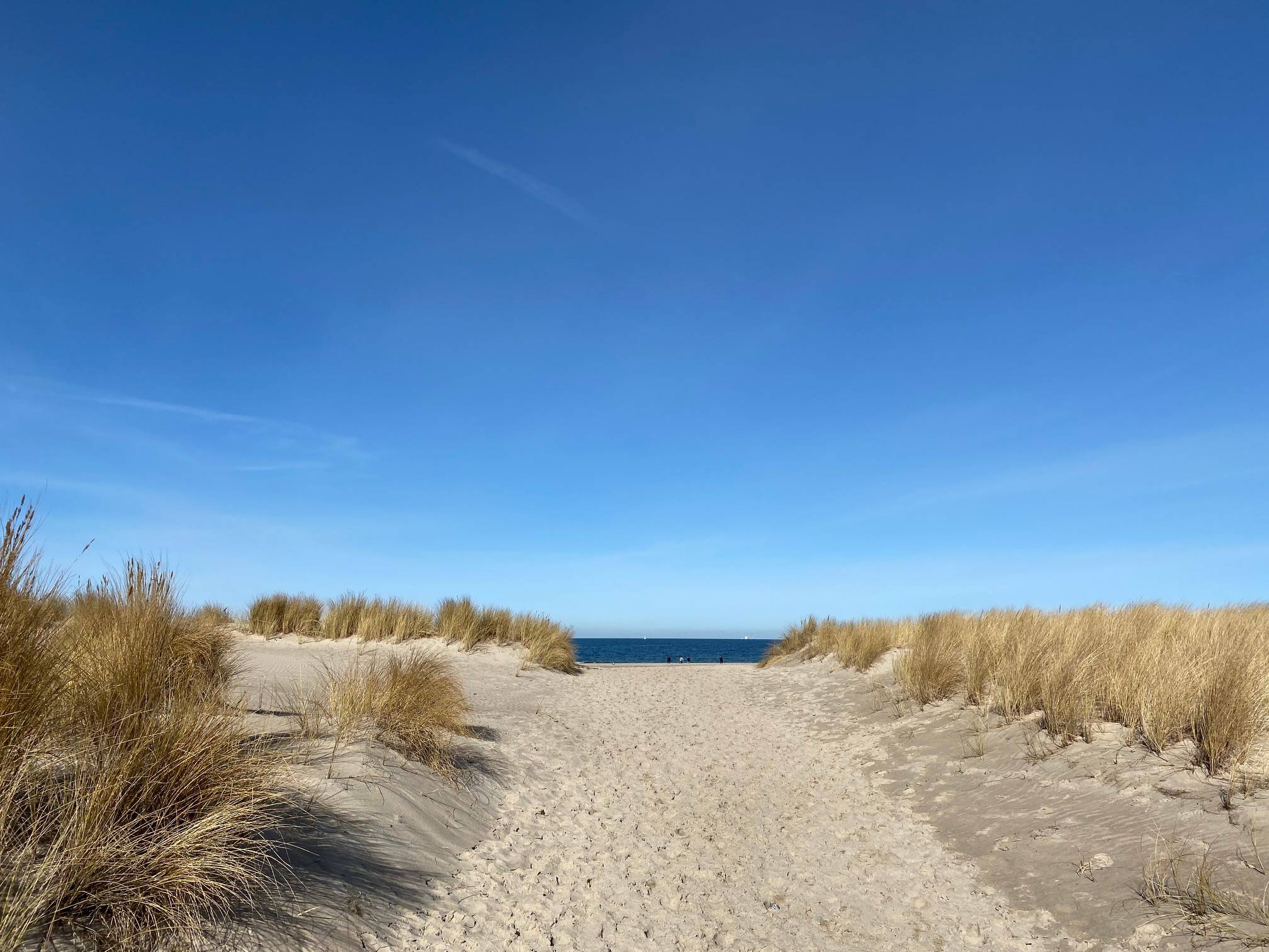 Strandweg führ zum Strand an der Ostsee bei schönem Wetter