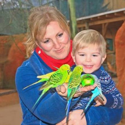 Mutter und Sohn füttern Kanarienvögel im Vogelpark Marlow